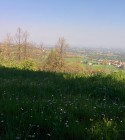 © Copyright 2015 - La Collina delle Fate